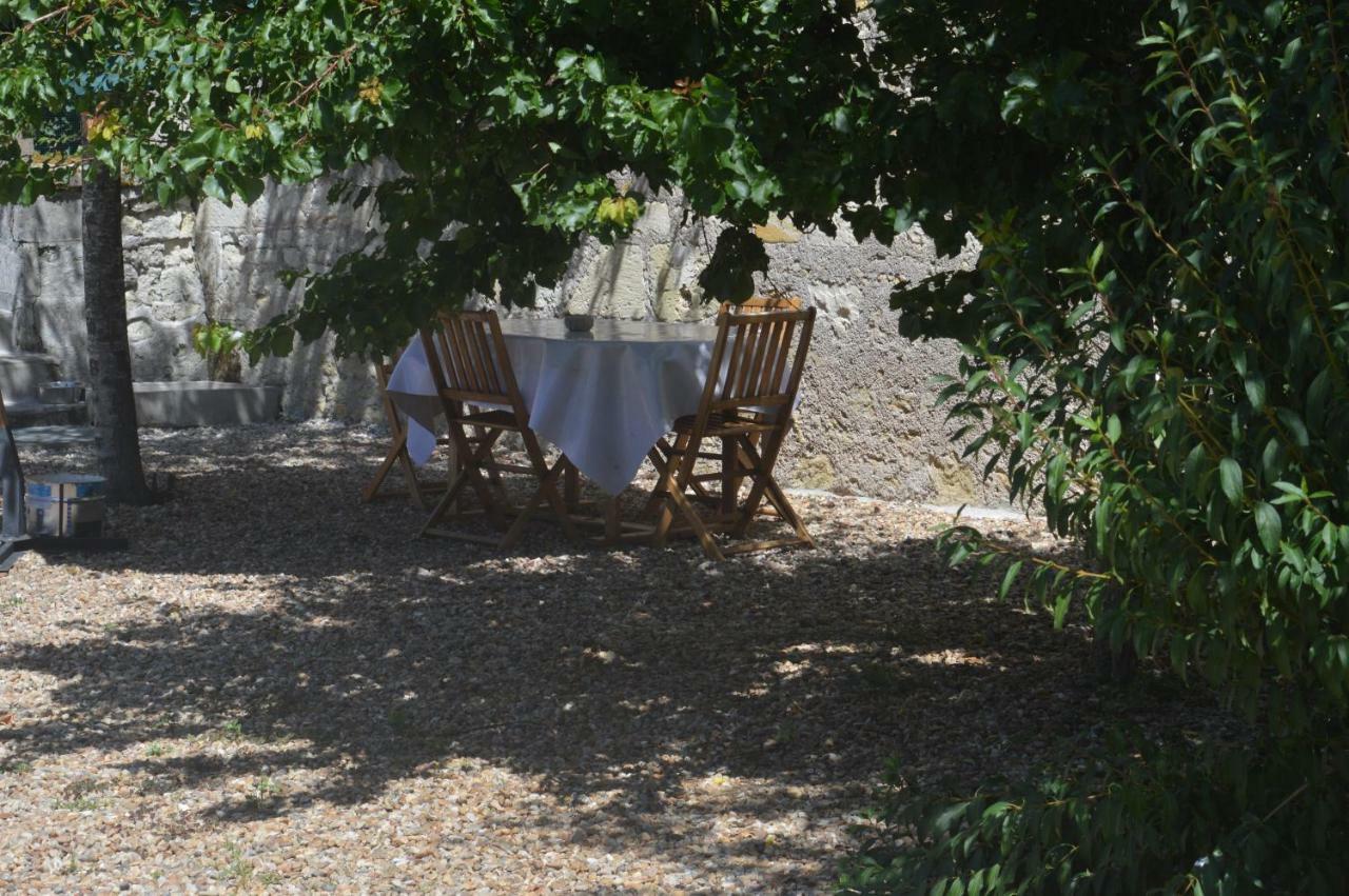 Gite Dans Le Vignoble De Bourgueil Le Port Boulet エクステリア 写真