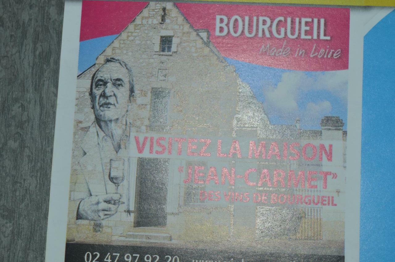 Gite Dans Le Vignoble De Bourgueil Le Port Boulet エクステリア 写真