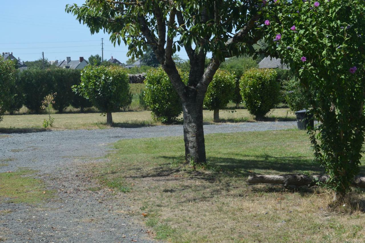 Gite Dans Le Vignoble De Bourgueil Le Port Boulet エクステリア 写真