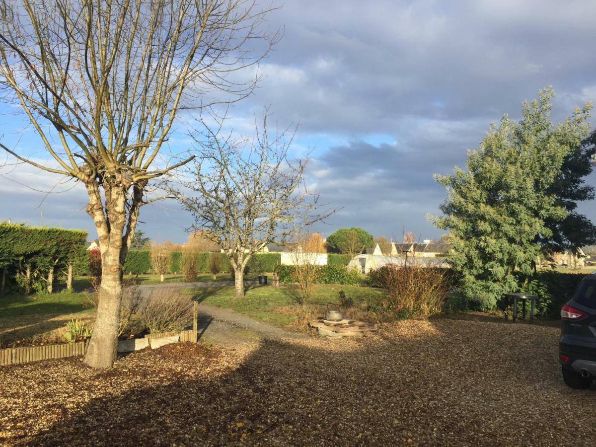 Gite Dans Le Vignoble De Bourgueil Le Port Boulet エクステリア 写真