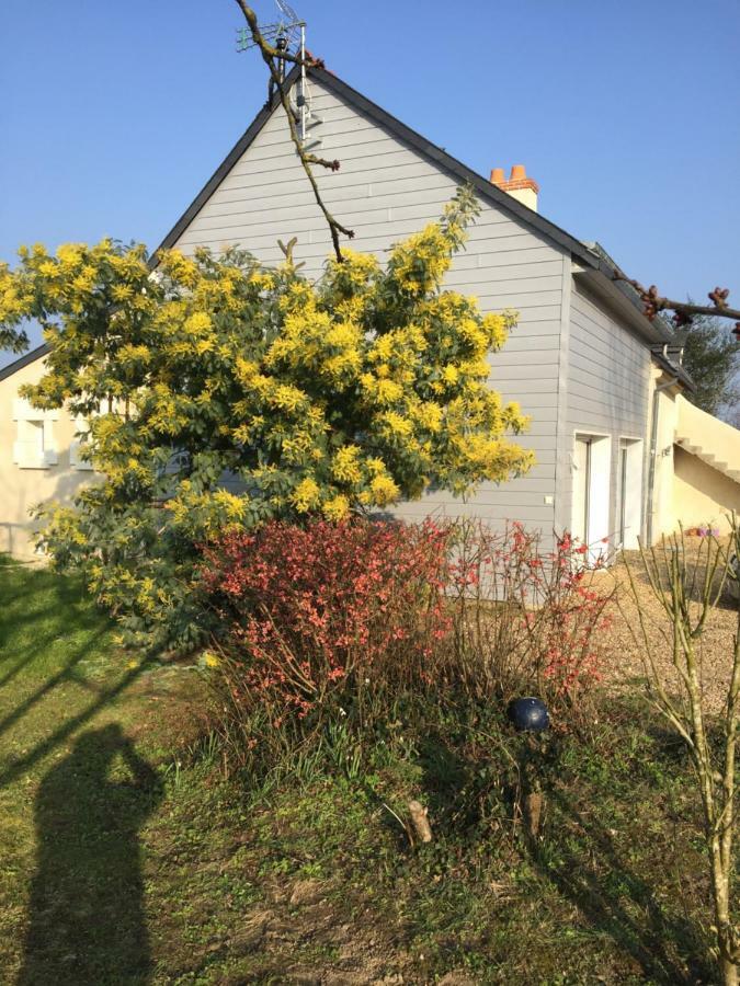 Gite Dans Le Vignoble De Bourgueil Le Port Boulet エクステリア 写真